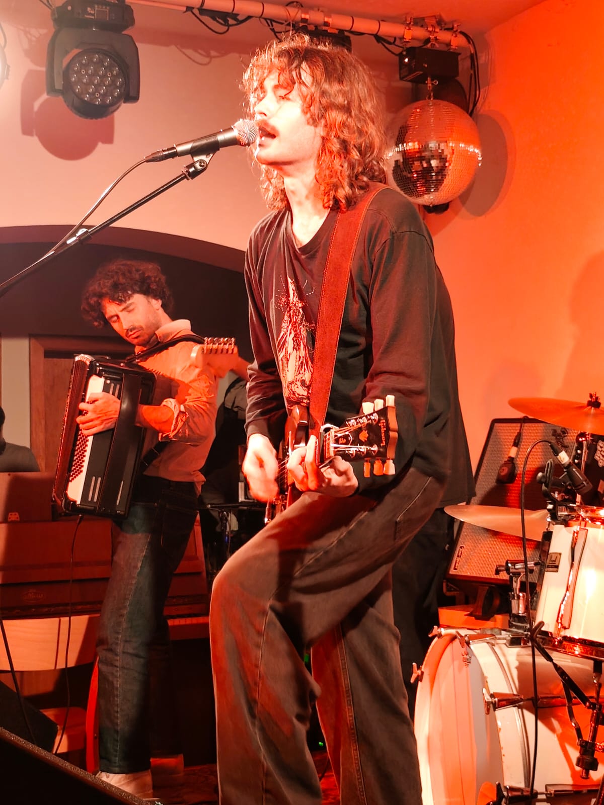 BrownHorse2025-10-31HaldernPopBarGermany (1).jpg